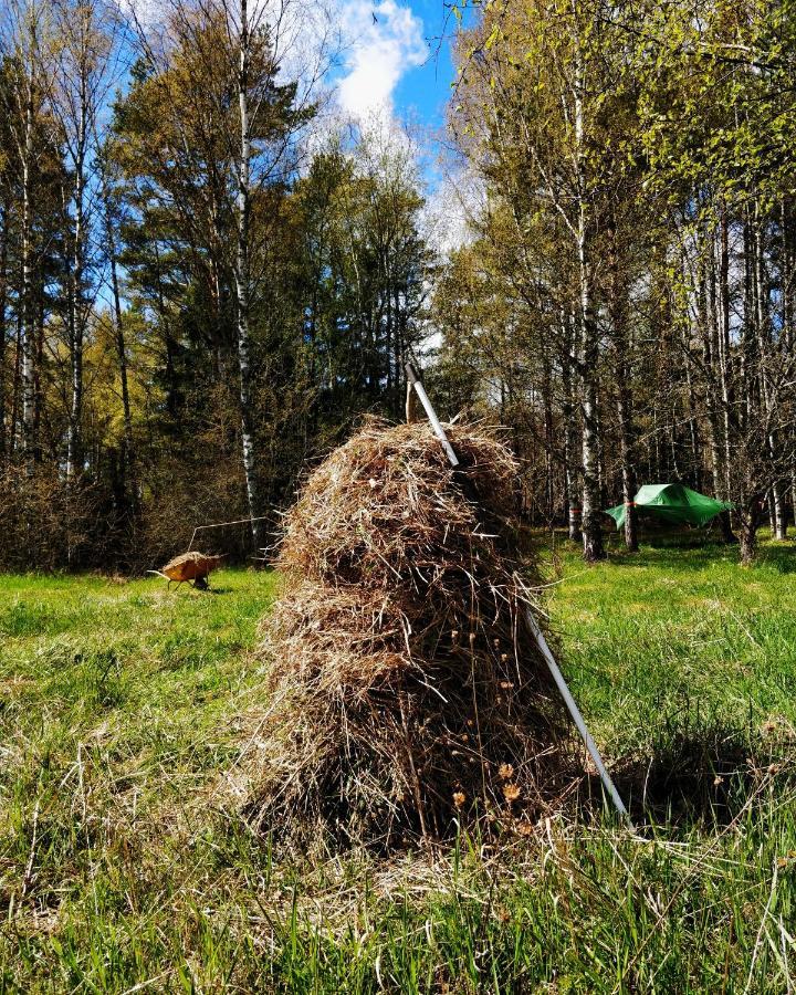 Naawa Nature Camp Luksustelt *